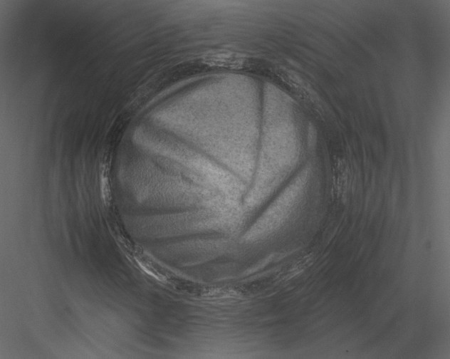 X0000082951154200702222306