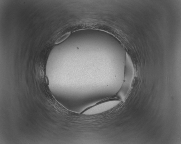 X0000082951155200702222306