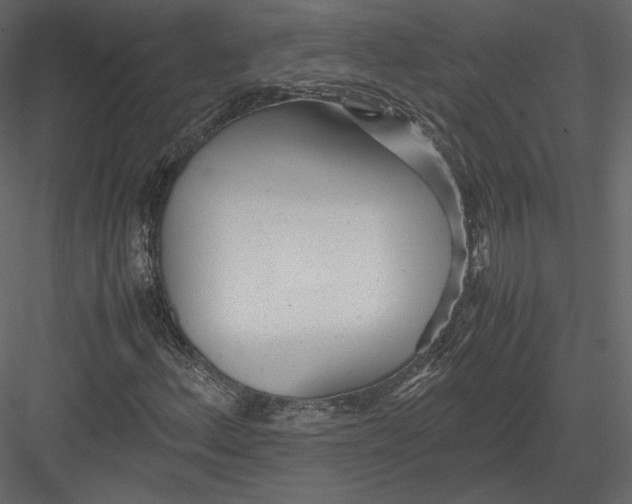 X0000082951156200702222305