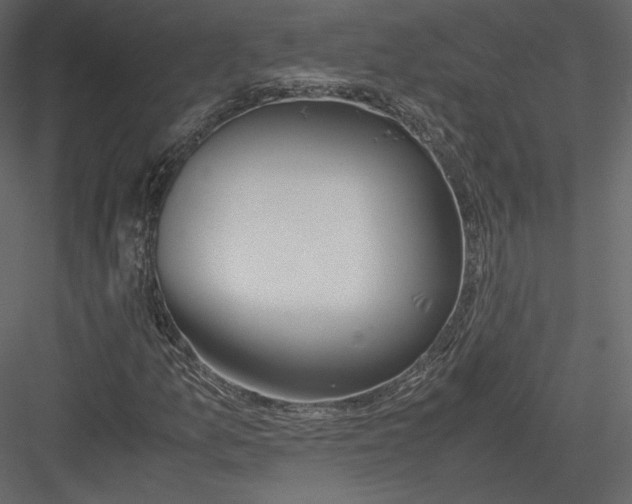 X0000082951157200702222305