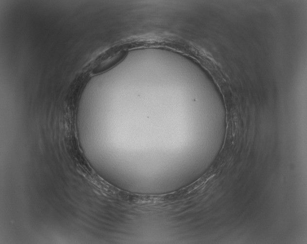 X0000082951158200702222305