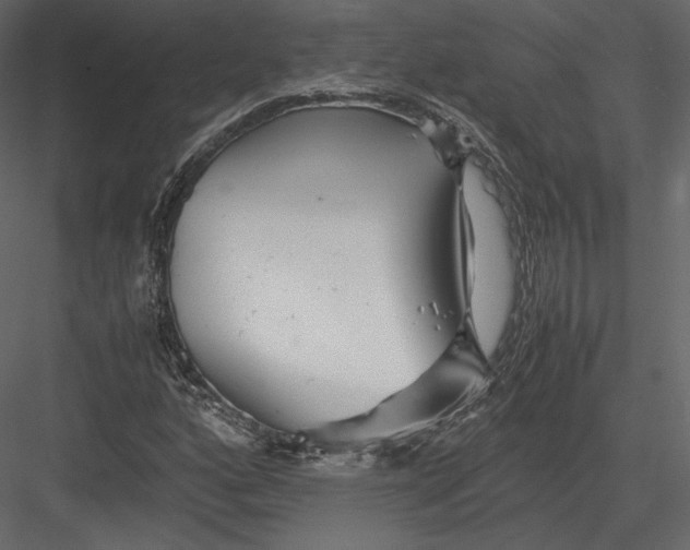 X0000082951160200702222305