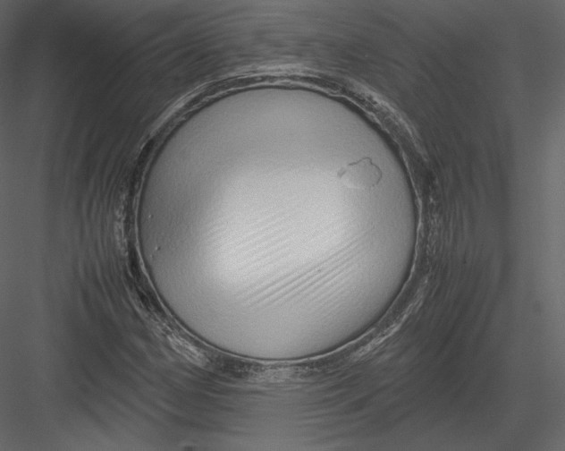 X0000082951162200702222305