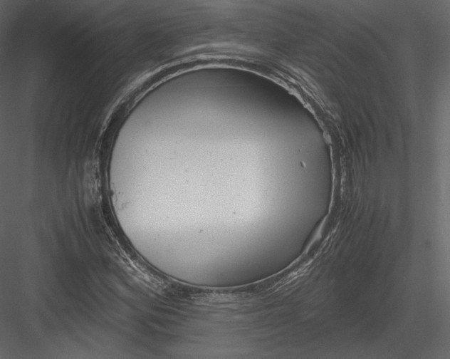 X0000082951164200702222305