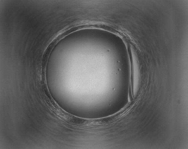 X0000082951165200702222305