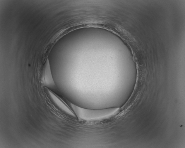 X0000082951169200702222305