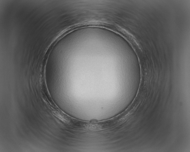 X0000082951170200702222305