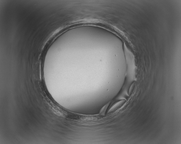 X0000082951171200702222305