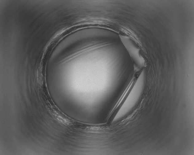 X0000082951172200702222305