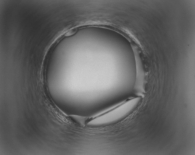 X0000082951173200702222305