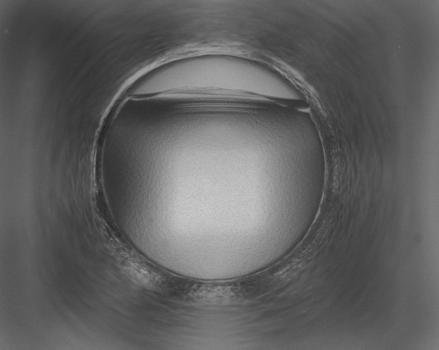 X0000082951174200702222305