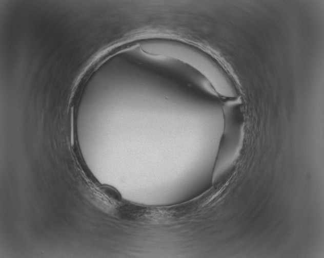 X0000082951175200702222305