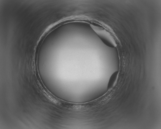 X0000082951176200702222305