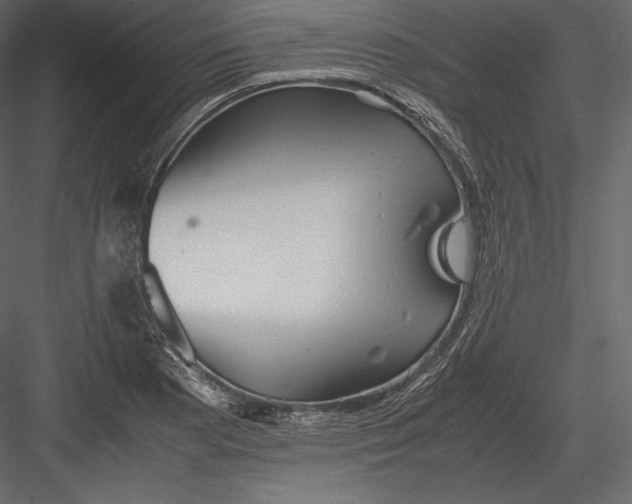 X0000082951177200702222305