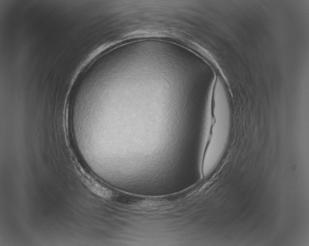 X0000082951179200702222305