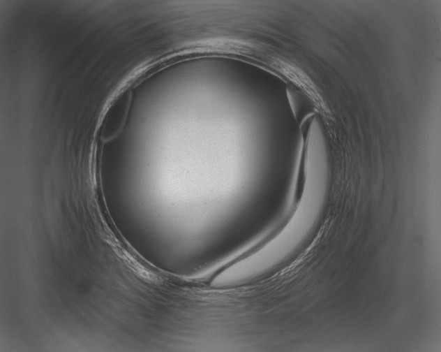 X0000082951180200702222305