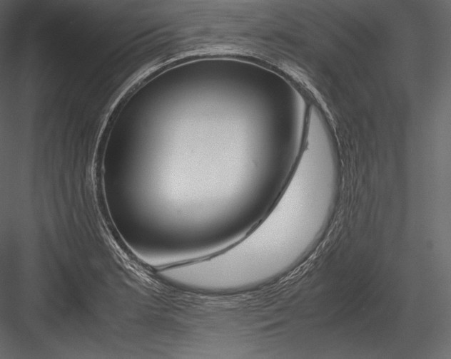 X0000082951181200702222305