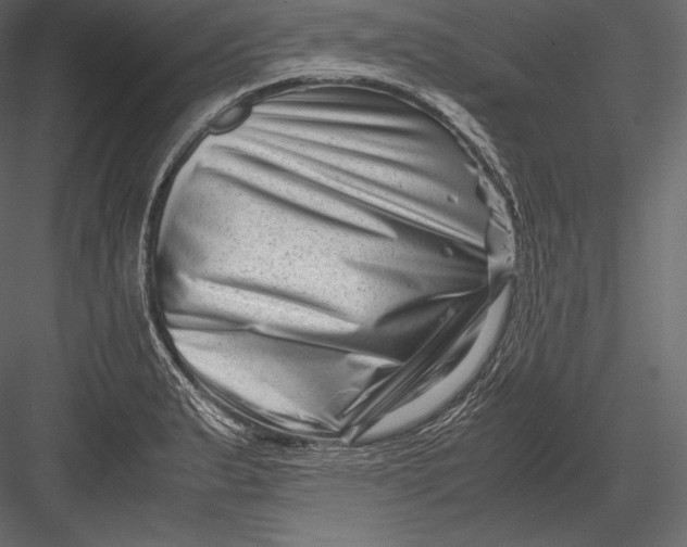 X0000082951183200702222305