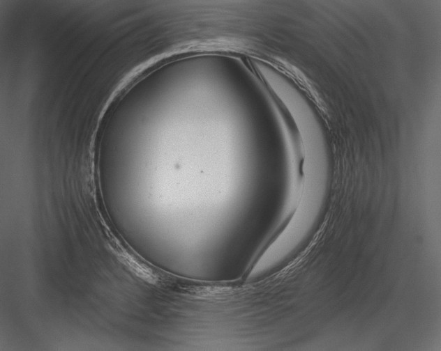 X0000082951184200702222305