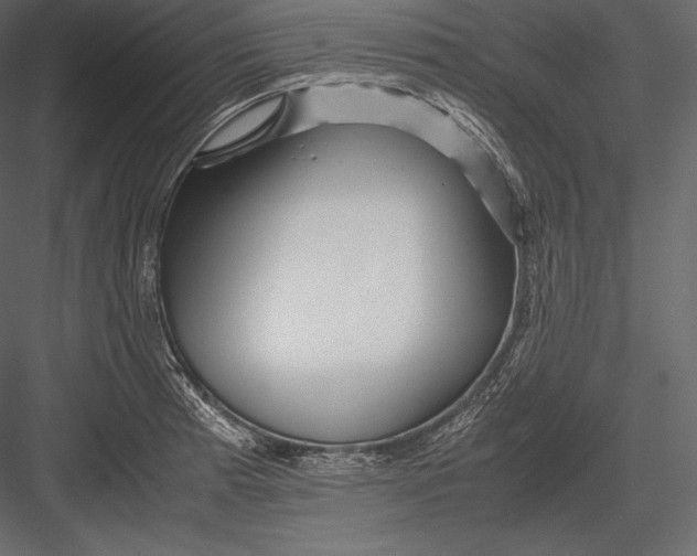 X0000082951185200702222305