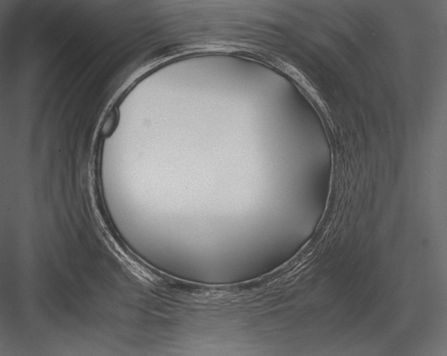 X0000082951187200702222305