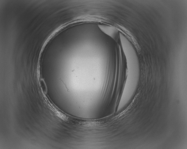 X0000082951188200702222305