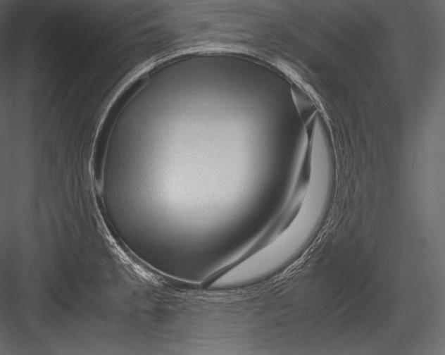 X0000082951189200702222305