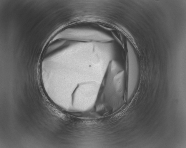 X0000082951190200702222305