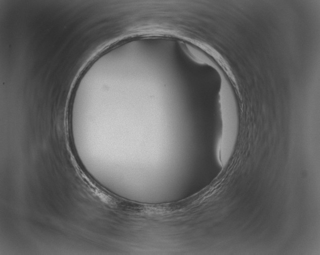 X0000082951191200702222305