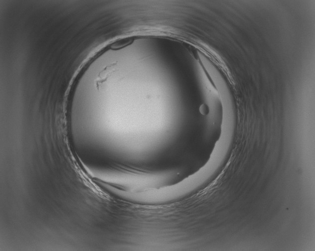 X0000082951192200702222305