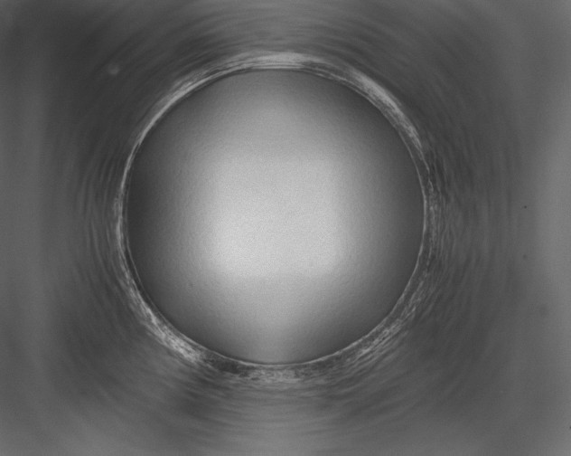 X0000082951194200702222305