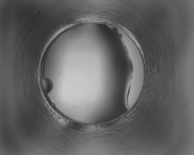 X0000082951195200702222305