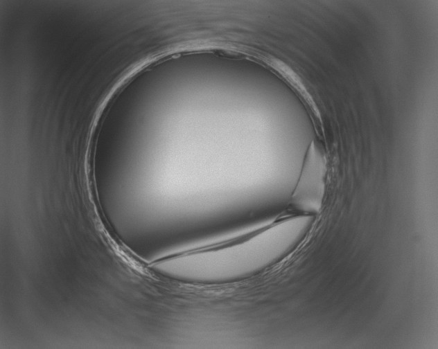 X0000082951197200702222305