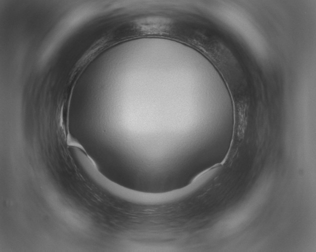 X0000082951198200702222305