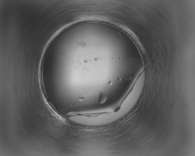 X0000082951199200702222305