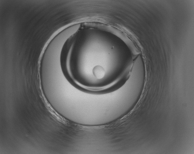 X0000082951200200702222305