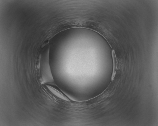 X0000082951202200702222304