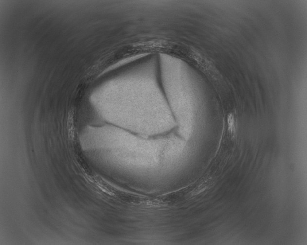 X0000082951203200702222304