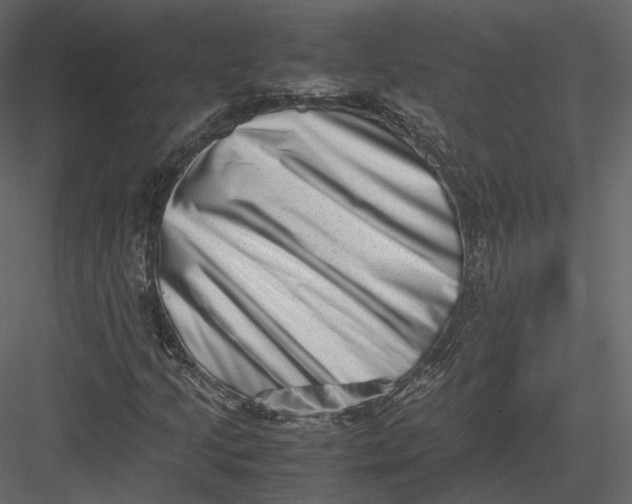 X0000082951205200702222304