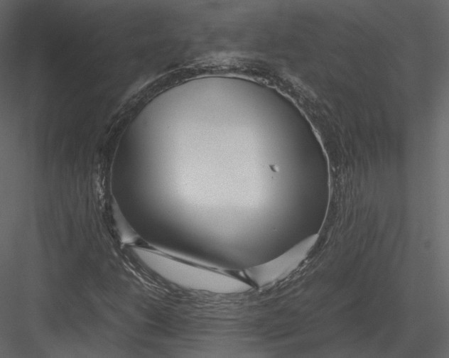 X0000082951206200702222304