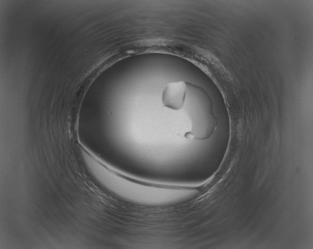 X0000082951209200702222304