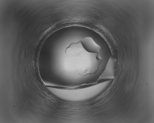 X0000082951210200702222304