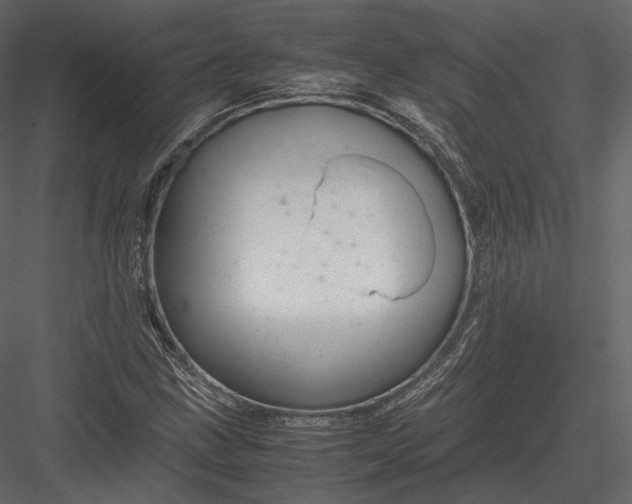 X0000082951211200702222304