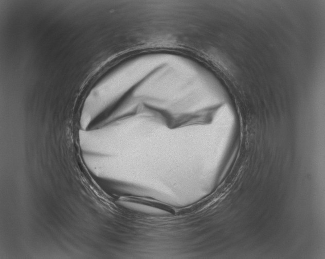 X0000082951212200702222304