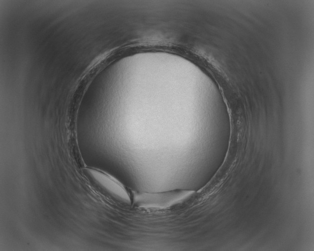 X0000082951213200702222304