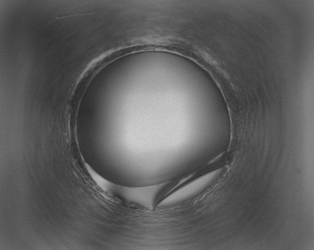 X0000082951214200702222304