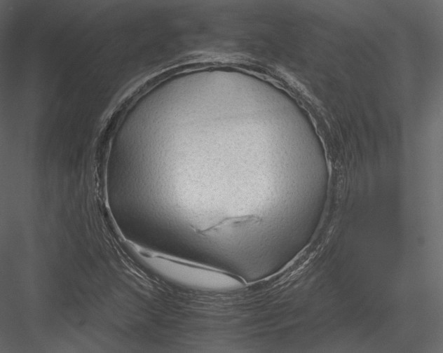 X0000082951215200702222304