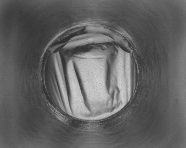 X0000082951216200702222304