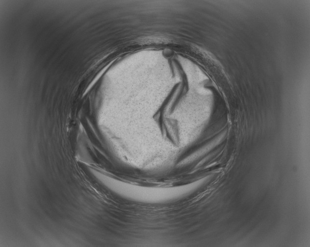 X0000082951217200702222304