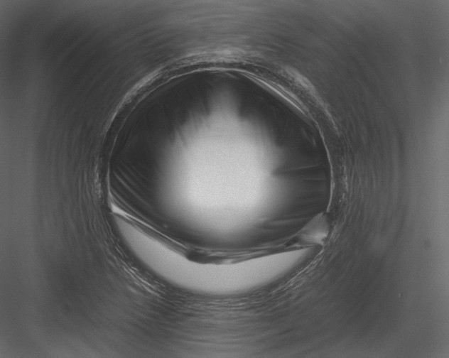 X0000082951218200702222304